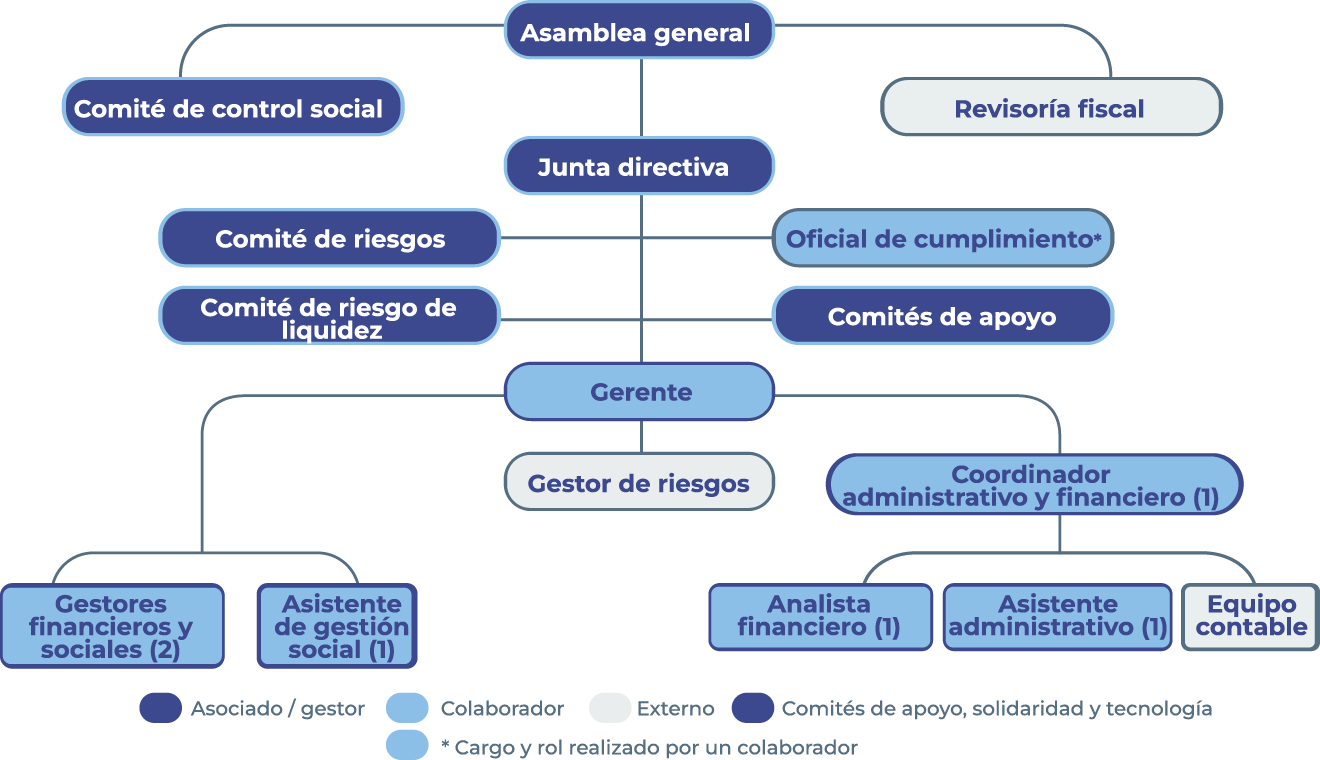 Estructura organizacional 2025